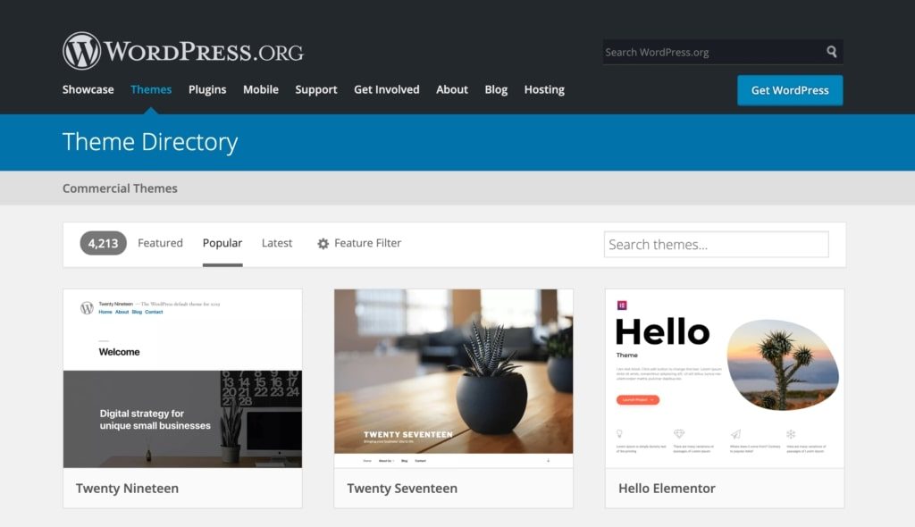 costo wordpress 5 pagine